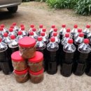 숲이랑농원 이미지