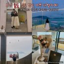 엘 동물병원 | 부산송도 대형카페 야경이 예쁜 빵맛집 애견동반가능