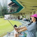 최정윤 카카오 검색결과