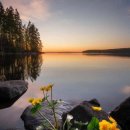 팡팡과일 이미지