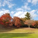 보문그린 이미지