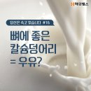 뼈에 좋은 칼슘덩어리 = 우유? 이미지