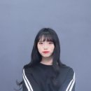 댕댕뷰티 네이버블로그