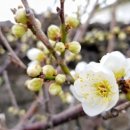 럭키공인중개사 이미지