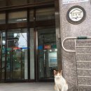 중2동 주민센터 이미지