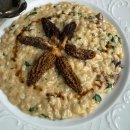 페노메논 카카오 검색결과