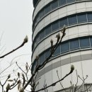 세움전기(주) 이미지