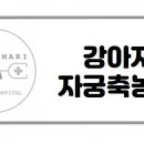 다산마리동물병원 이미지