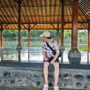 아마따 | 발리 동부투어 따만우중 후기(물의정원)