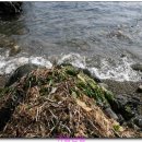 온정마을 이미지