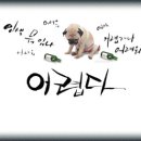 술시 - 정읍시 수성2로 28 | 술시