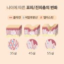 디에르 전주점