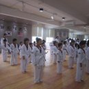 월드베스트태권도 이미지