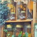 코&태 | 강원도 철원 태용식당, 소문난 동네 맛집 뼈해장국