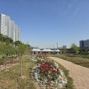 광명시체육회 | 2026 광명시 육상연맹 회장배 건강달리기 대회 치맥런 후기