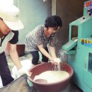 숲속나라 이미지