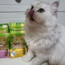 더주스 주식회사 이미지