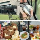 한솔퍼스티움 | 세종 브런치 카페 고양이와 루프탑이 있는 바이올렛