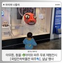 떡보의하루파주점 | 아이와 나들이) 파주국립민속박물관 설 연휴 행사, 아무튼 동물, 파주 아이와 무료로 가볼만한곳