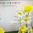 대창초교병설유치원 이미지