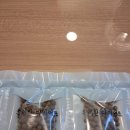 광진제일한의원 이미지