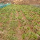 봉우농장 이미지