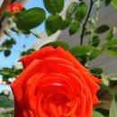 천진초등학교 이미지