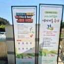 김해관동우체국 | 김해 축제 추천 2026 화포천습지 제비마을 축제 아이랑 다녀온 후기