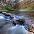 숲고을농장 이미지