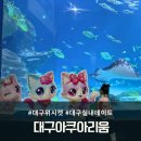꼬마성 | 우리꼬마들 대구데이트코스 대구 최초 위시캣 콜라보 진행중인 대구아쿠아리움 방문후기