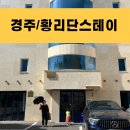 황리단 스테이 | 경주1박2일 3대모녀여행 숙소 황리단스테이 후기