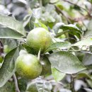 바다민박 이미지