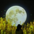 충의로R 이미지