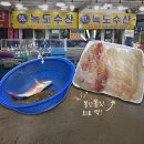 대천해수욕장 근처 회포장 어디서? 대천항 수산시장 녹도수산 포장후기(대천여행 필수코스 추천)