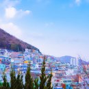 쥬닝카페 이미지