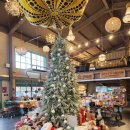 문브래드 | 춘천 빵지순례 버치앤브래드 넓고 쾌적한 베이커리 카페 솔직 방문 후기