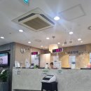 밝은미래의원 | [신정동] 밝은미래산부인과 정밀초음파 검사 후기🏥