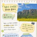 하늘밭봄 | 월출산 유채꽃밭 다녀온 후기, 영암 봄 나들이 명소 추천