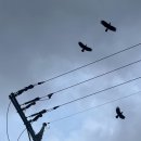 삼미모텔 이미지