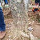 백송농장 이미지