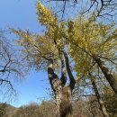 안양시관악장애인종합복지관 | 서울대안양수목원