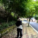 이마트24 뉴의정부하랑점 | 강아지랑 순천여행 / 순천자연휴양림 반려견동반객실 앵무산실 숲나들e