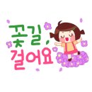 햇살다육꽃사랑 네이버블로그