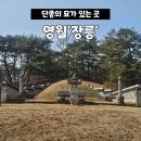 4215 | 영월 장릉 입장료 단종묘 방문 후기