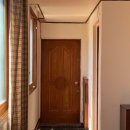 스테이 도토리 이미지