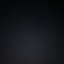 몽키캠핑장 이미지