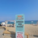 별 하나에 커피 | 2025 강릉커피축제 후기 커피시음 디저트추천 별이빛나는밤에 불멍 현장신청방법 위치 불꽃놀이