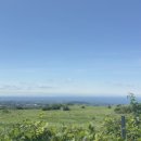 숙성도제주본점 이미지