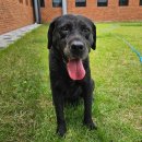 회원동225 이미지