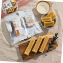 태인 애견 이미지